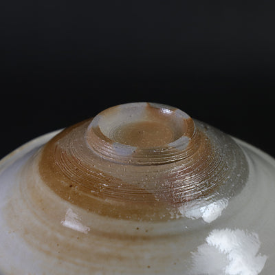 Takashi Nakazato soda kiln grass design bowl