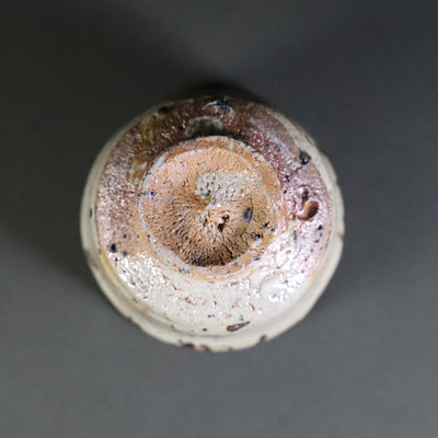Munehiko Maruta picture Karatsu sake cup