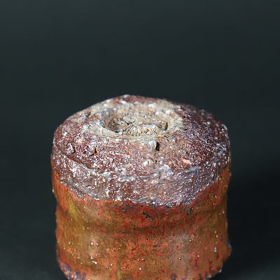 Kota Tanaka's Scarlet Sake Cup 1