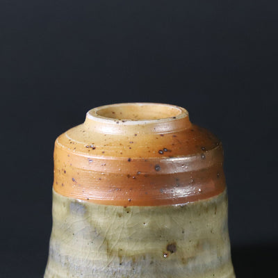 Aokaratsu sake cup by Shuichi Okamoto