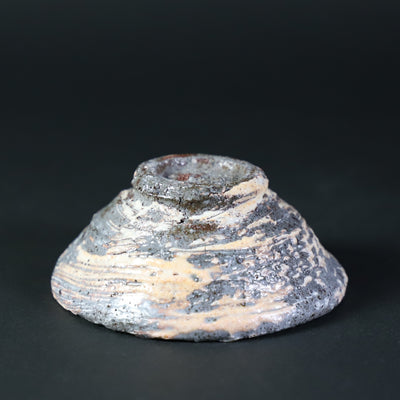 Kouta Tanaka's brushed sake cup 1
