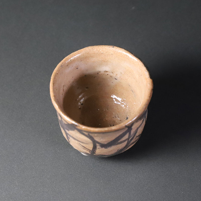 Munehiko Maruta picture Karatsu sake cup