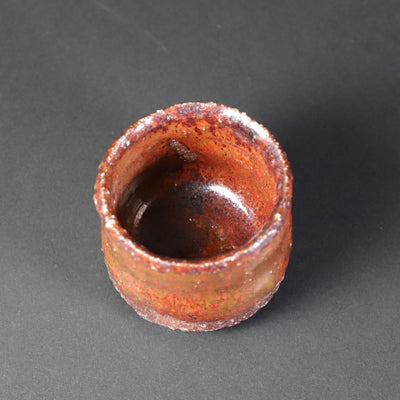 Kota Tanaka's Scarlet Sake Cup 1