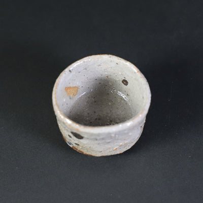 Kouta Tanaka's picture Karatsu sake cup