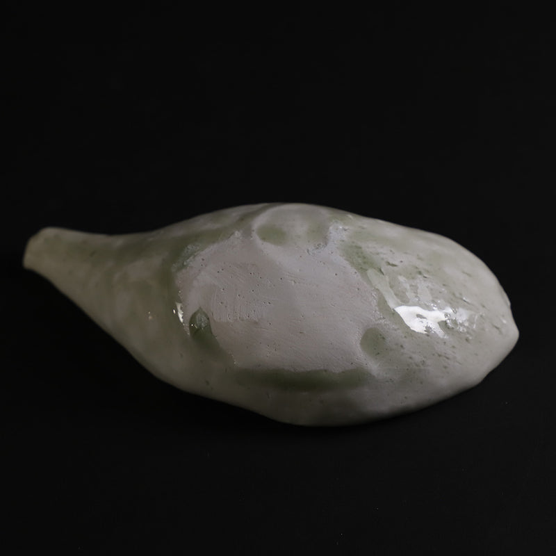 White lotus by Yasumoto Kajiwara