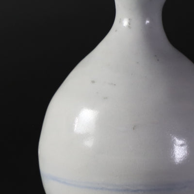Soichiro Maruta Dyed sake bottle